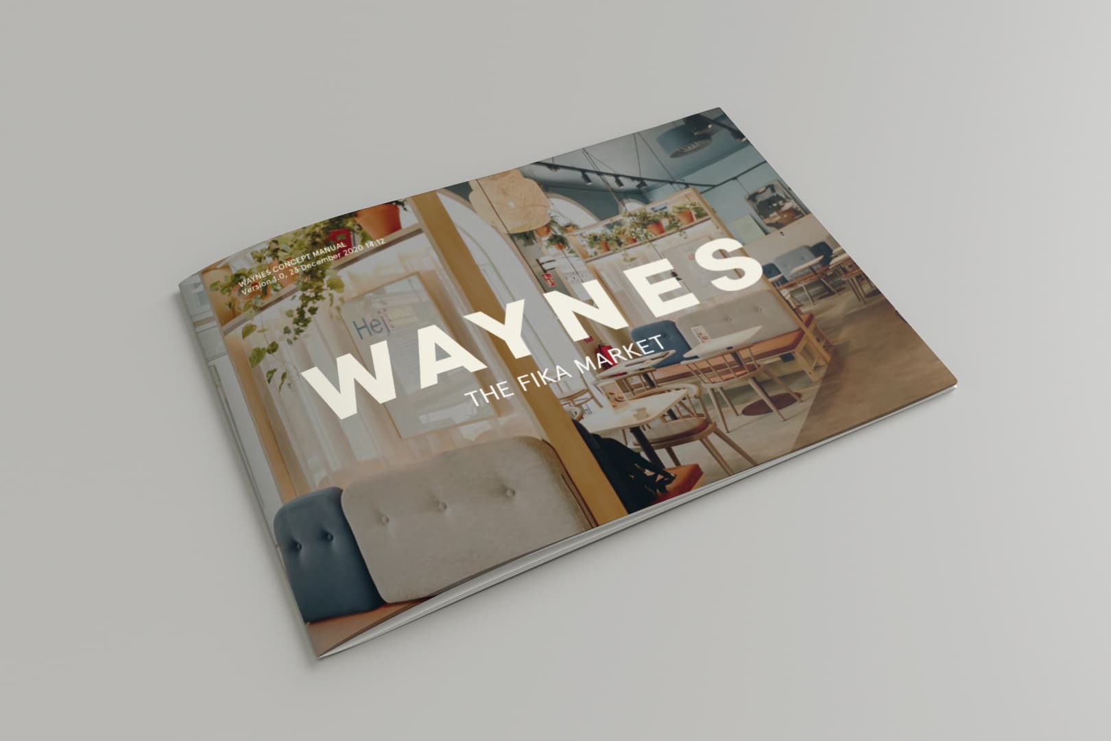Konceptmanual Waynes